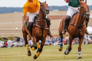 Polo Rules: How To Play Polo | Rules of Sport
